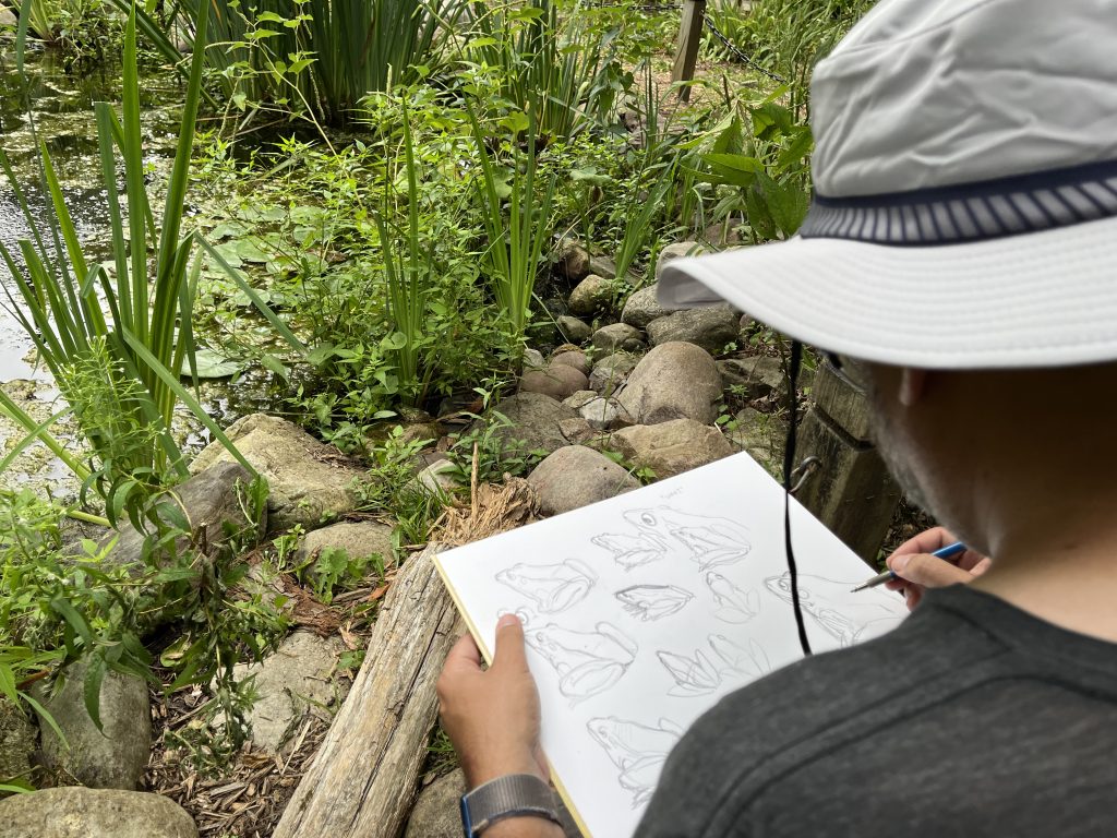 A person sketches frogs outdoors.